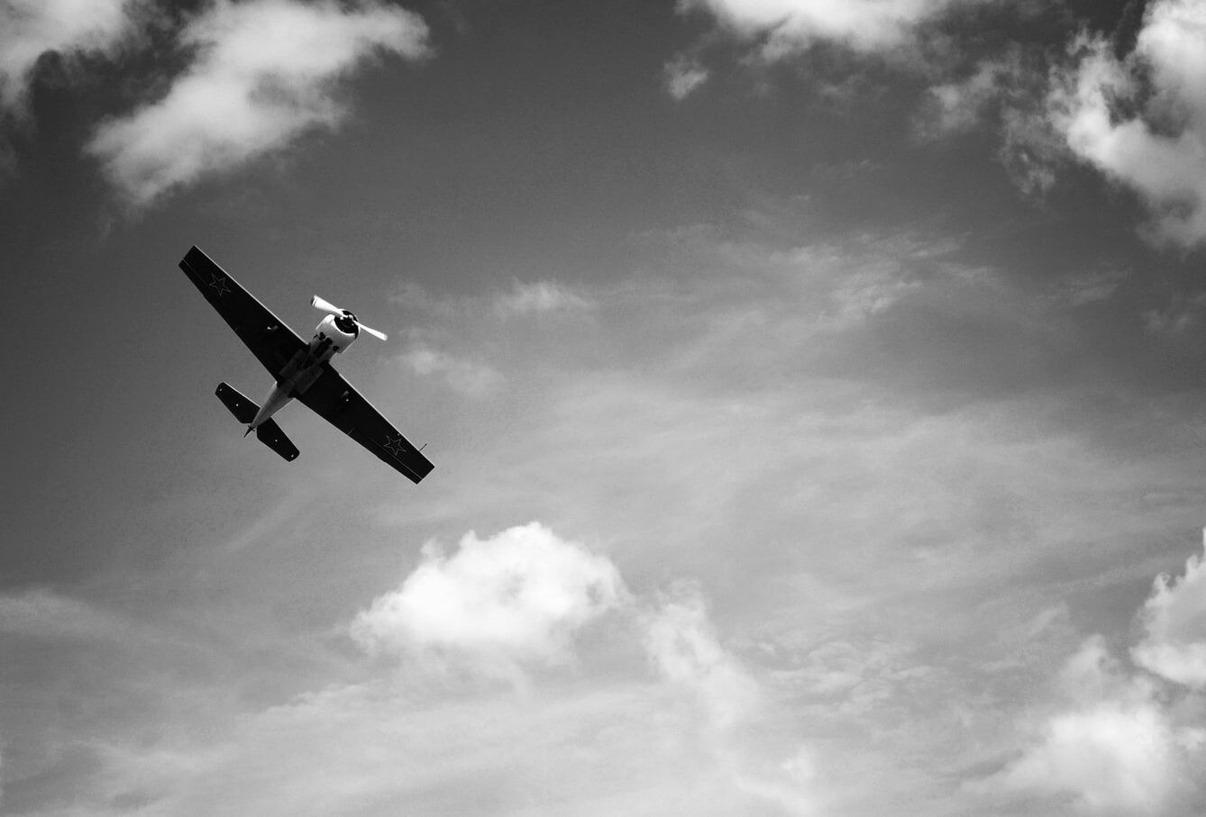 role of aviation expert witnesses