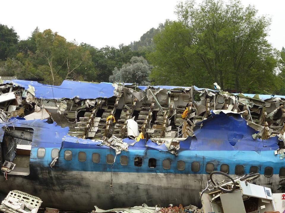 plane crash lone survivor