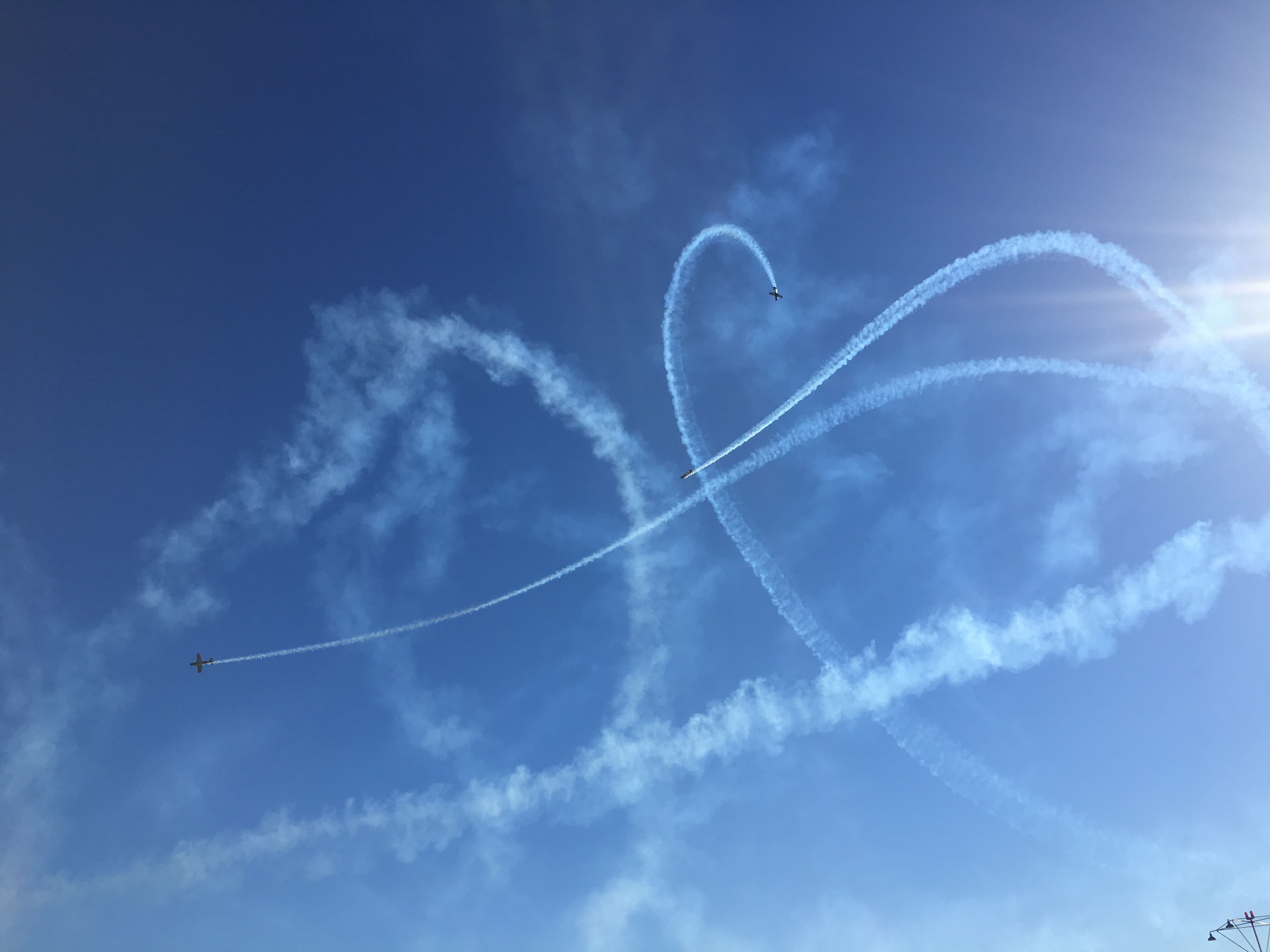 wings over illawarra
